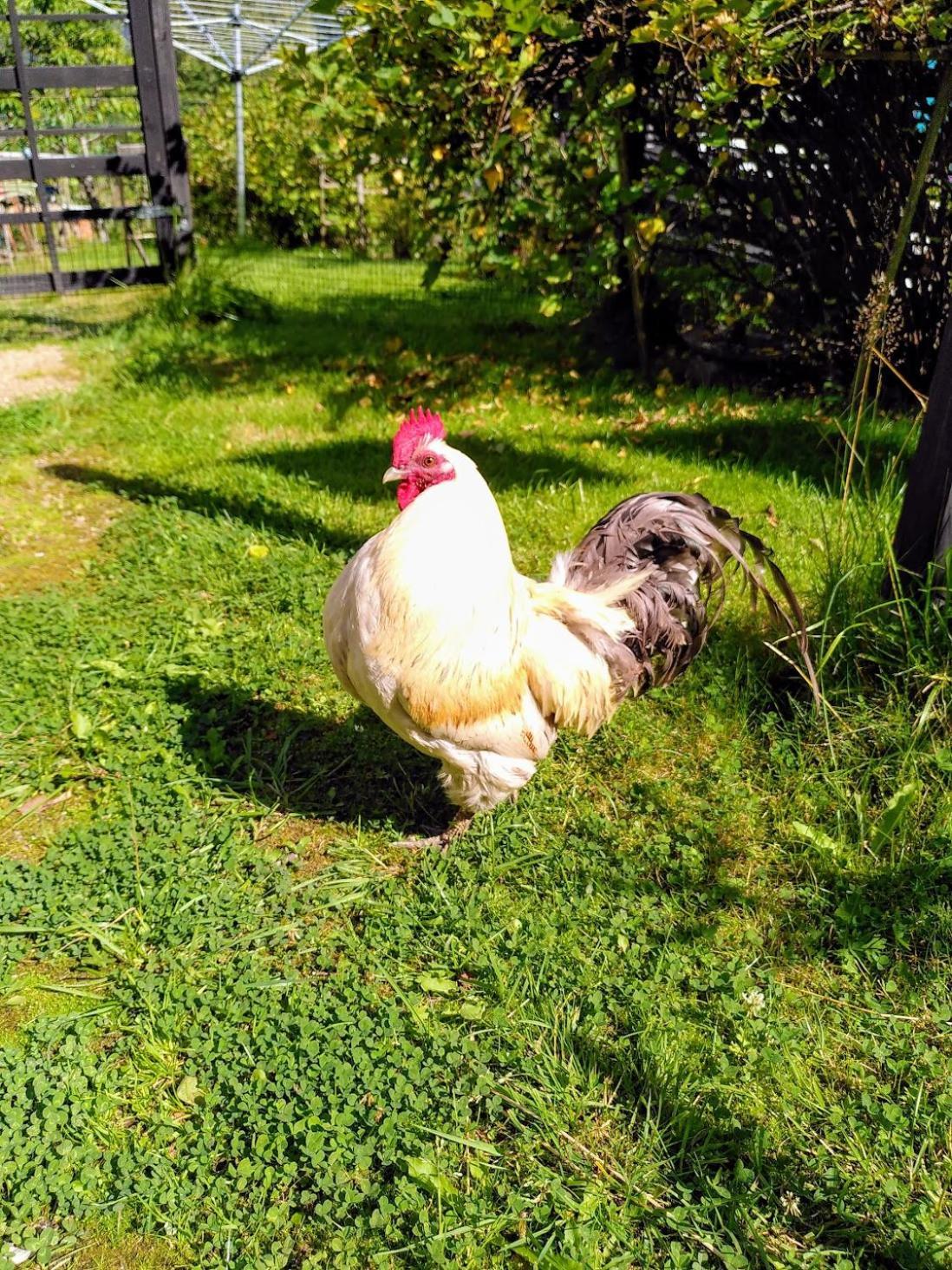Laegenhet Naturnaera I Henån Esterno foto